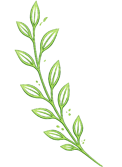 Green leafy floral illustration